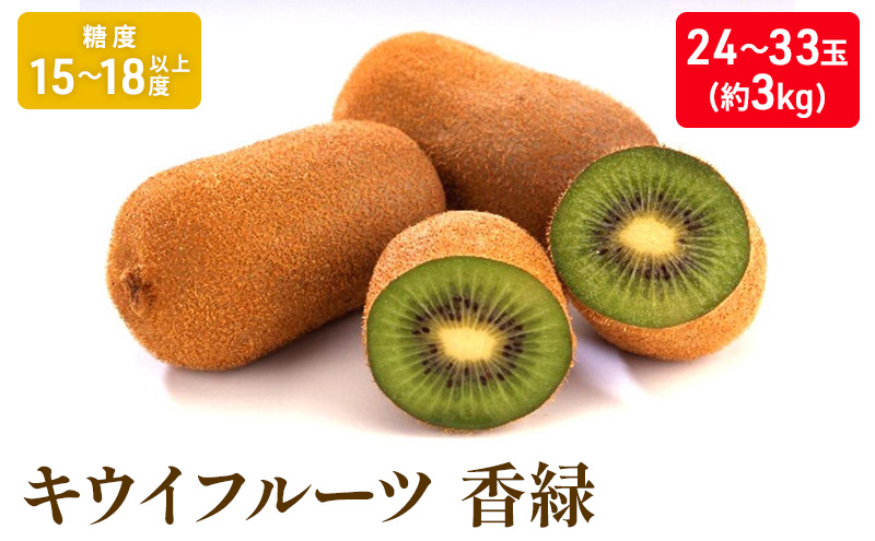キウイフルーツ「香緑」約3kg_キウイフルーツ 果物詰合せ くだもの