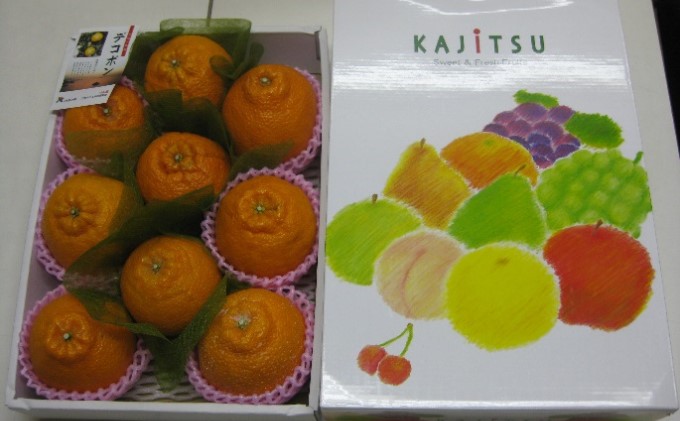 ハウスデコポン（しらぬひ）化粧箱（約2kg）_デコポン 果物類 みかん 柑橘類 ミカン 蜜柑 くだもの