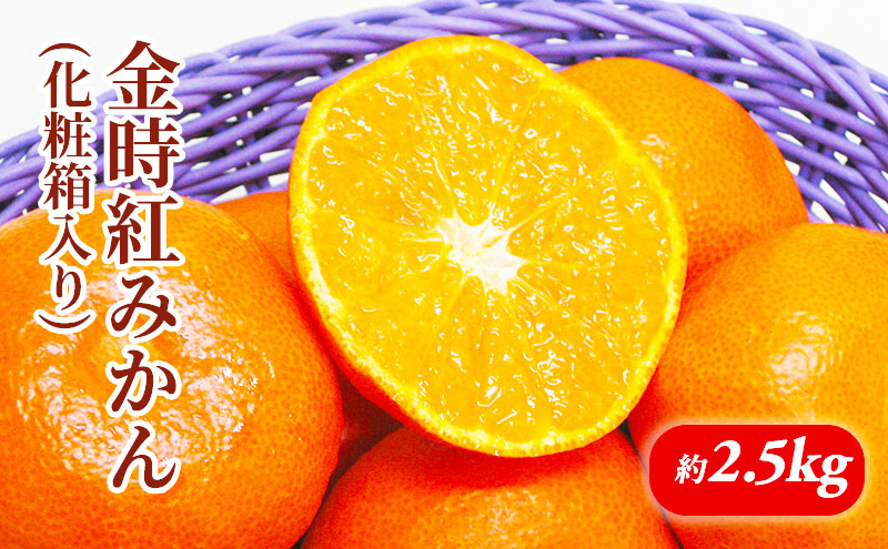 金時紅みかん　化粧箱（約2.5kg）_みかん 果物類 柑橘類 フルーツ ミカン 蜜柑 くだもの