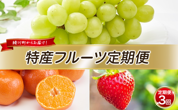 特産 フルーツ 定期便 （年3回） 果物類 柑橘類 みかん いちご 苺 イチゴ ぶどう マスカット