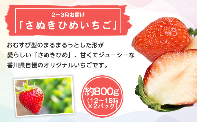 特産 フルーツ 定期便 （年3回） 果物類 柑橘類 みかん いちご 苺 イチゴ ぶどう マスカット 