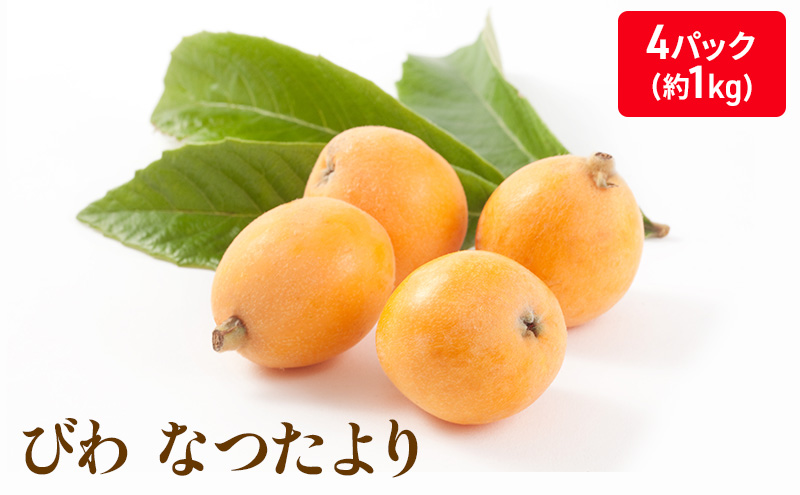 なつたより（びわ）4パック入り(約１Kg) 果物類 フルーツ 枇杷 ビワ