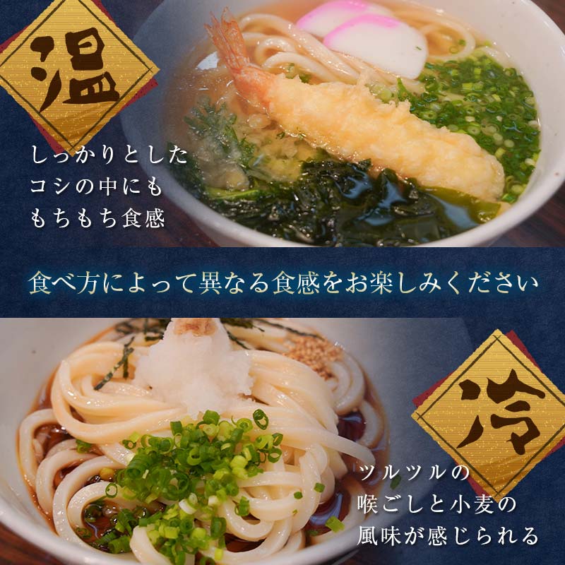 讃岐うどんの味めぐり10人前 セット 詰合せ 讃岐 うどん 生うどん カレー 本場 さぬきうどん 生 麺 釜玉うどん ぶっかけ 釜揚げ うどんつゆ つゆ かけつゆ めんつゆ 食品 名産 四国 F5J-355