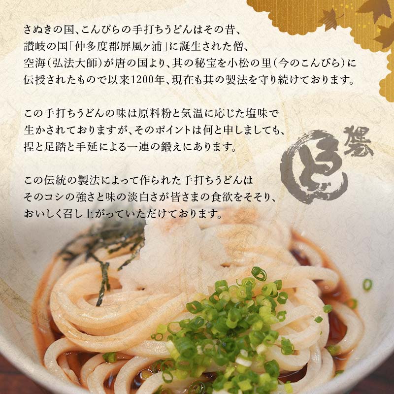 讃岐うどんの味めぐり10人前 セット 詰合せ 讃岐 うどん 生うどん カレー 本場 さぬきうどん 生 麺 釜玉うどん ぶっかけ 釜揚げ うどんつゆ つゆ かけつゆ めんつゆ 食品 名産 四国 F5J-355