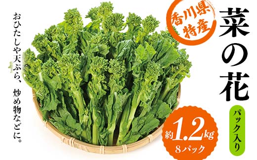 【先行予約】菜の花 バラ (約2kg) なの花 菜の花 おひたし 天ぷら 炒め物 春 野菜 食品 名産 四国 F5J-378