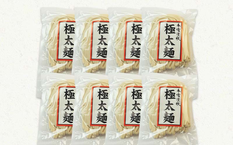 本場の味さぬきうどん 熟成極太生うどん500g×8袋 つゆ、しょうゆつゆ付 F5J-162