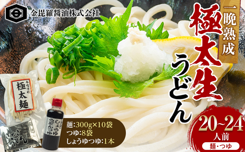 本場さぬきうどん一晩熟成極太生うどん 極太満足セット 極太生うどん300g×10袋、つゆ20ml×8、しょうゆうどんつゆ200ｍl 1本 F5J-160