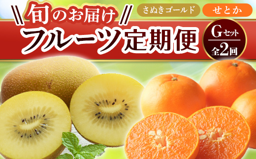 【フルーツ定期便 2回】 《せとかからスタート》 G セット さぬきゴールド 約2.7kg せとか 約5kg キウイ キウイフルーツ みかん 柑橘 旬 果物 国産 香川県 フルーツ定期便 F5J-785