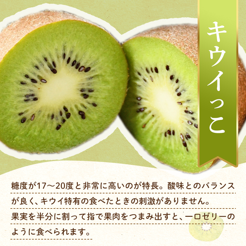 【フルーツ定期便 3回】 《ピオーネからスタート》 Eセット ピオーネ 約1.2kg さぬきゴールド 約2.7kg キウイっこ 約1.8kg ぶどう キウイ キウイフルーツ 旬 果物 国産 香川県 フルーツ定期便 F5J-797