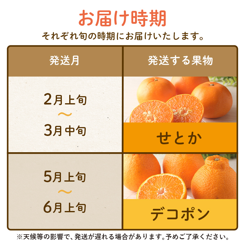 【フルーツ定期便 2回】 《せとかからスタート》 Lセット せとか 約5kg デコポン 約5kg みかん 柑橘 旬 果物 国産 香川県 フルーツ定期便 F5J-790