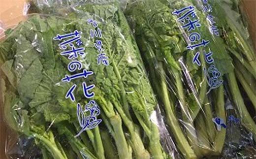 【先行予約】菜の花 約2kg (10袋入り) なの花 菜の花 おひたし 天ぷら 炒め物 春 野菜 食品 名産 四国  F5J-365