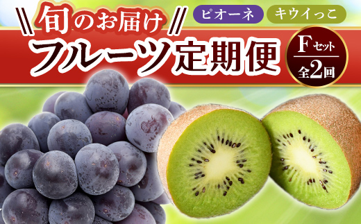 【フルーツ定期便 2回】 《キウイっこからスタート》 Fセット ピオーネ 約1.2kg キウイっこ 約1.8kg ぶどう キウイ キウイフルーツ 旬 果物 国産 香川県 フルーツ定期便 F5J-784