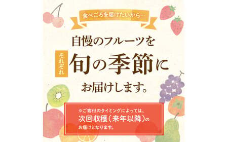 【人気フルーツ定期便C 2回】さぬきキウイっこ 約1kg 越冬小原紅早生みかん 約1.5kg キウイ みかん 旬 フルーツ 果物 国産 香川県 F5J-884