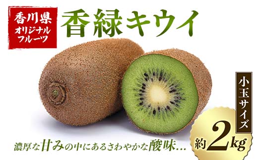 【先行予約】香緑キウイ (小玉サイズ) 約2kg フルーツ 果物 くだもの キウイ 香緑 小玉 デザート キウイフルーツ 食品 名産 四国  F5J-670