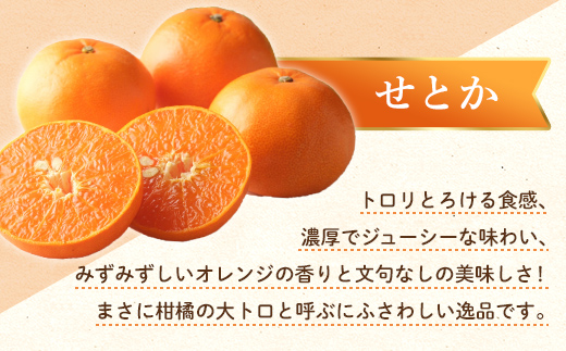 【フルーツ定期便 2回】 《せとかからスタート》 Lセット せとか 約5kg デコポン 約5kg みかん 柑橘 旬 果物 国産 香川県 フルーツ定期便 F5J-790