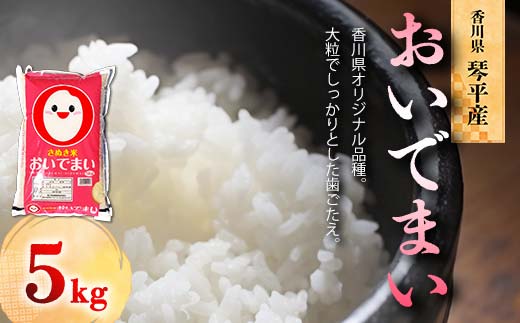 令和7年度産 新米 香川県琴平産おいでまい 5kg 米 精米 さぬき米 セット ギフト 贈り物 四国 F5J-1079