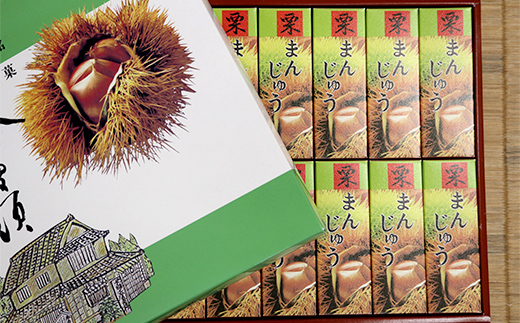 東條菓子店の栗まんじゅう12個 まんじゅう 栗饅頭 香川県 琴平町 F5J-1210