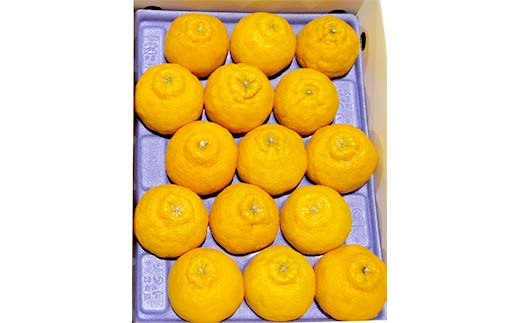 【先行予約 2026年2月～3月頃お届け】 不知火(約3kg) しらぬひ しらぬい 柑橘 果物 香川県 琴平町 フルーツみかん 旬 F5J-1032