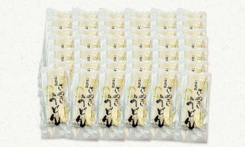 極旨！一晩熟成半生さぬきうどん　300g×10袋、つゆ20袋×3箱（60人前） F5J-167