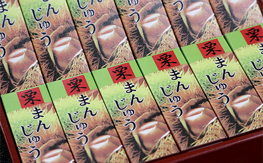 東條菓子店の栗まんじゅう12個 まんじゅう 栗饅頭 香川県 琴平町 F5J-1210