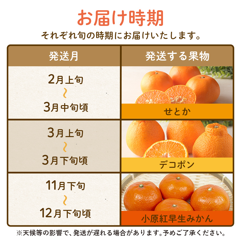 【フルーツ定期便 3回】 《小原紅早生みかんからスタート》 Kセット小原紅早生みかん 約4.5kg せとか 約5kg デコポン 約5kg みかん 柑橘 旬 果物 国産 香川県 フルーツ定期便 F5J-803