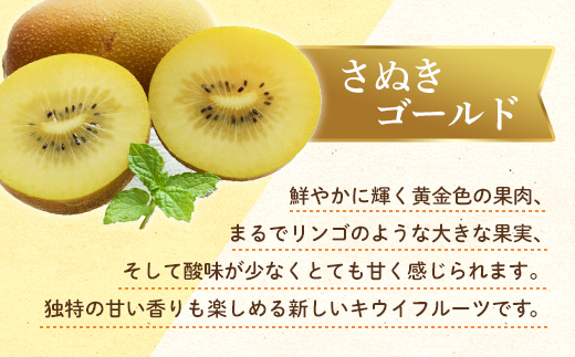 【フルーツ定期便 2回】 《さぬきゴールドからスタート》 I セット さぬきゴールド 約2.7kg 香緑 約3kg キウイ キウイフルーツ 旬 果物 国産 香川県 フルーツ定期便 F5J-787