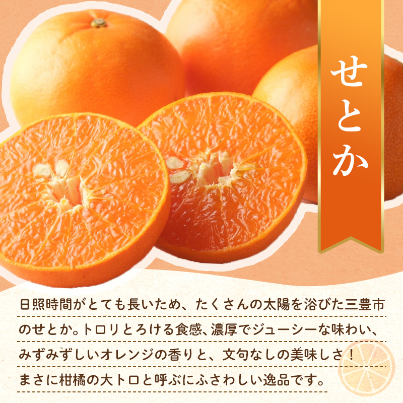【フルーツ定期便 3回】 《小原紅早生みかんからスタート》 Kセット小原紅早生みかん 約4.5kg せとか 約5kg デコポン 約5kg みかん 柑橘 旬 果物 国産 香川県 フルーツ定期便 F5J-803