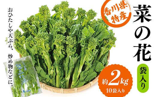 【先行予約】菜の花 約2kg (10袋入り) なの花 菜の花 おひたし 天ぷら 炒め物 春 野菜 食品 名産 四国  F5J-365