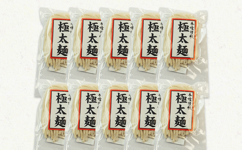 本場さぬきうどん一晩熟成極太生うどん 極太満足セット 極太生うどん300g×10袋、つゆ20ml×8、しょうゆうどんつゆ200ｍl 1本 F5J-160