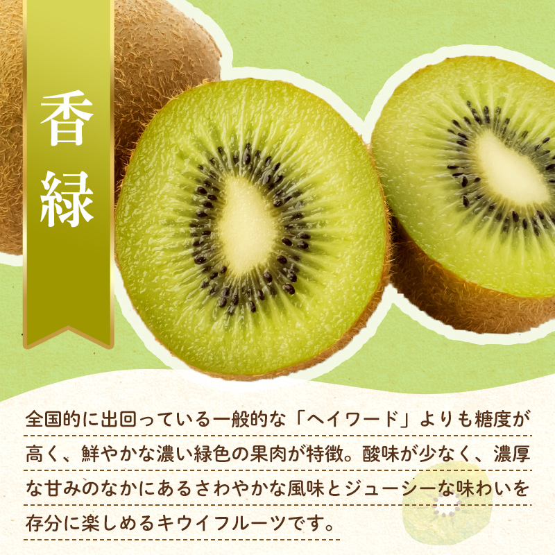 【フルーツ定期便 3回】 《ピオーネからスタート》 Cセット ピオーネ 約1.2kg さぬきゴールド 約2.7kg 香緑 約3kg ぶどう キウイ キウイフルーツ 旬 果物 国産 香川県 フルーツ定期便 F5J-795