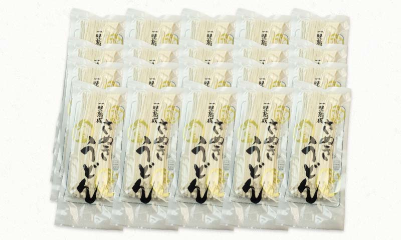 極旨！一晩熟成半生さぬきうどん 300g×10袋、つゆ20袋×2箱（40人前） F5J-166