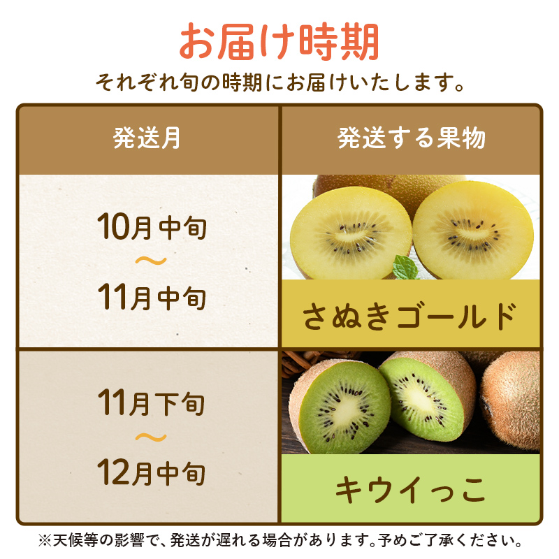 【フルーツ定期便 2回】 《さぬきゴールドからスタート》 Kセット さぬきゴールド 約2.7kg キウイっこ 約1.8kg キウイ キウイフルーツ 旬 果物 国産 香川県 フルーツ定期便 F5J-789