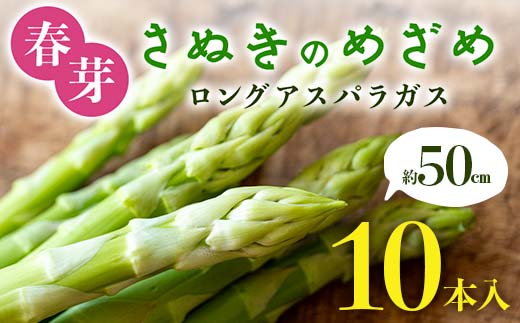 春芽 さぬきのめざめ 約50cmロングアスパラガス 10本入り アスパラ サラダ お弁当 おかず フレッシュ 新鮮 琴平 香川 F5J-762