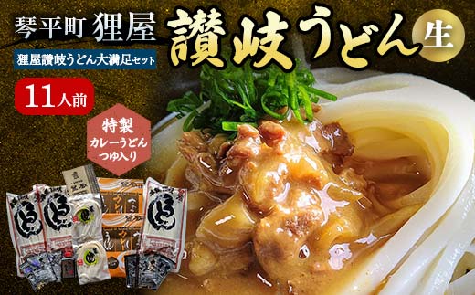 特製カレーうどんつゆ入り 狸屋讃岐うどん大満足セット11人前 4種のつゆ付き 詰合せ 生うどん カレー つゆ うどん 本場 讃岐 讃岐うどん さぬきうどん ご当地 グルメ 名産品 食品 四国  F5J-202