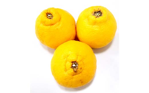 ãå
è¡äºçŽ2026幎2æïœ3æé ãå±ãã èš³ããå®¶åºçšäžç¥ç«(çŽ5kg) ããã¬ã ææ© æç© éŠå· ã¿ãã F5J-955