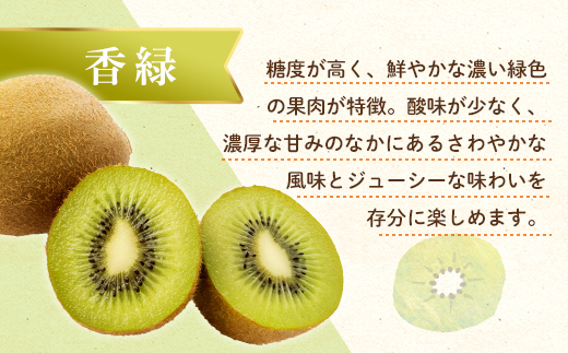 【フルーツ定期便 2回】 《ピオーネからスタート》 Dセット ピオーネ 約1.2kg 香緑 約3kg ぶどう キウイ キウイフルーツ 旬 果物 国産 香川県 フルーツ定期便 F5J-782