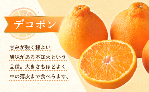【フルーツ定期便 2回】 《せとかからスタート》 Lセット せとか 約5kg デコポン 約5kg みかん 柑橘 旬 果物 国産 香川県 フルーツ定期便 F5J-790
