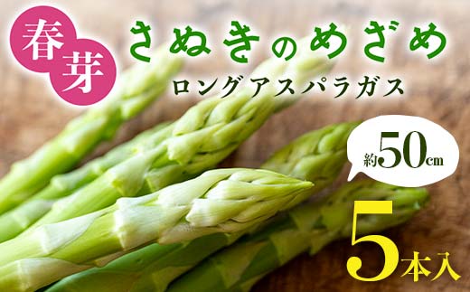 春芽 さぬきのめざめ 約50cmロングアスパラガス ５本入り アスパラ サラダ お弁当 おかず フレッシュ 新鮮 琴平 香川 F5J-761