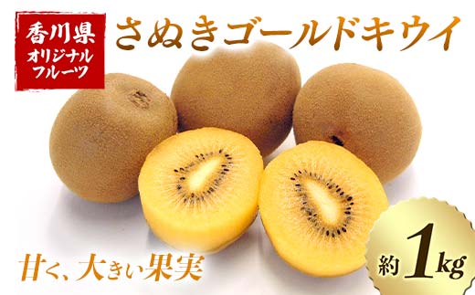 【人気フルーツ定期便A 2回】越冬小原紅早生みかん 約１.５kg さぬきゴールドキウイ 約１kg キウイ みかん 旬 フルーツ 果物 国産 香川県 F5J-882