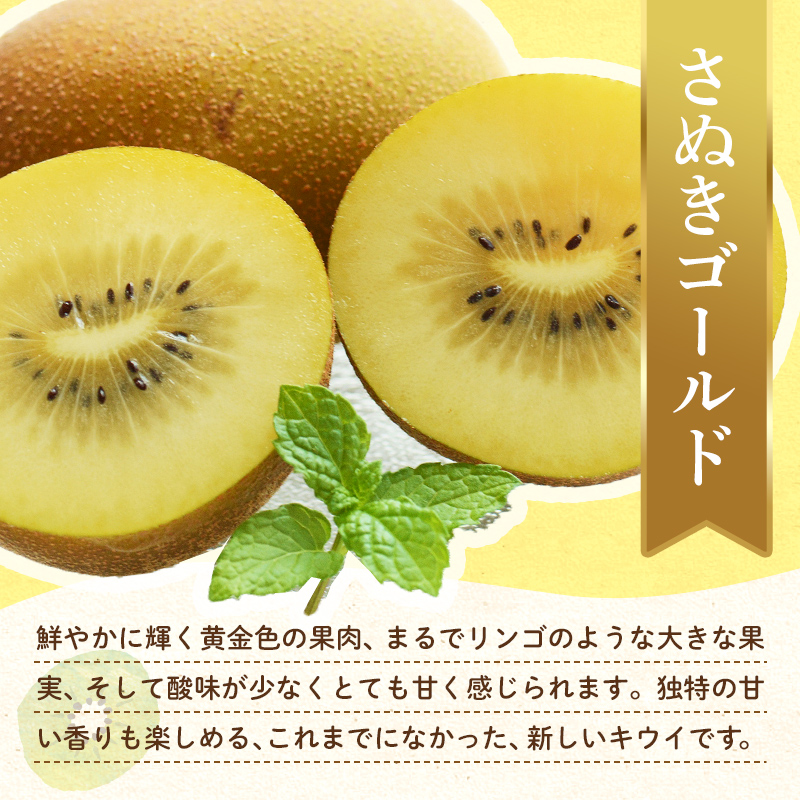 【フルーツ定期便 3回】 《デコポンからスタート》 Bセット ピオーネ 約1.2kg さぬきゴールド 約2.7kg デコポン 約5kg ぶどう キウイ キウイフルーツ みかん 柑橘 旬 果物 国産 香川県 フルーツ定期便 F5J-794