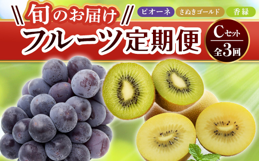 【フルーツ定期便 3回】 《香緑からスタート》 Cセット ピオーネ 約1.2kg さぬきゴールド 約2.7kg 香緑 約3kg ぶどう キウイ キウイフルーツ 旬 果物 国産 香川県 フルーツ定期便 F5J-795