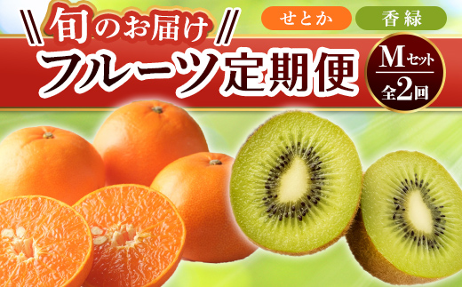 【フルーツ定期便 2回】 《香緑からスタート》 Mセット 香緑 約3kg せとか 約5kg キウイ キウイフルーツ みかん 柑橘 旬 果物 国産 香川県 フルーツ定期便 F5J-791