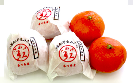 縲仙郁。御コ育エ2027蟷エ1譛茨ス2027蟷エ2譛磯縺雁ア翫¢縲題カ雁ャ蟆丞次邏譌ゥ逕溘∩縺九s (蛟句桁陬) 邏2kg 縺ソ縺九s 譫懃黄 縺上□繧ゅョ 繝輔Ν繝シ繝 繝繧カ繝シ繝 蛟句桁陬 雜雁ャ 譌ゥ逕 繧ェ繝ェ繧ク繝翫Ν蜩∫ィョ 鬟溷刀 蜷咲肇 蝗帛嵜 F5J-1249