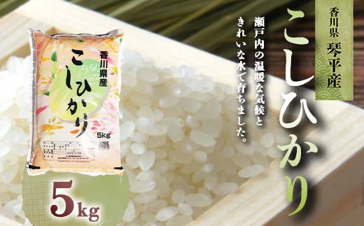 令和7年度産 新米 香川県琴平産コシヒカリ 5kg 《入金後2週間以内に発送》 銘柄米 ブランド米 国産 こしひかり コシヒカリ 米 精米 お米 ライス ギフト 贈り物 四国 F5J-1075