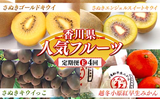【人気フルーツ定期便E 4回】《さぬきゴールドキウイからスタート》さぬきゴールド さぬきエンジェルスイートキウイ さぬきキウイっこ 越冬小原紅早生みかん 各約1kg キウイ みかん 旬 フルーツ 果物 国産 香川県 F5J-1184
