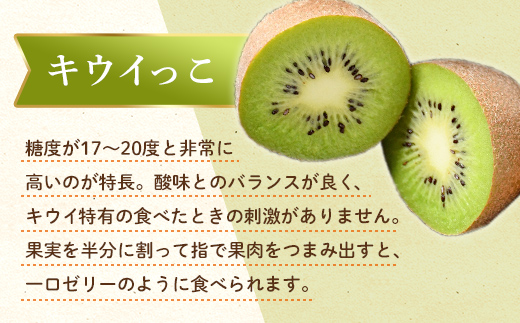 【フルーツ定期便 2回】 《さぬきゴールドからスタート》 Kセット さぬきゴールド 約2.7kg キウイっこ 約1.8kg キウイ キウイフルーツ 旬 果物 国産 香川県 フルーツ定期便 F5J-789