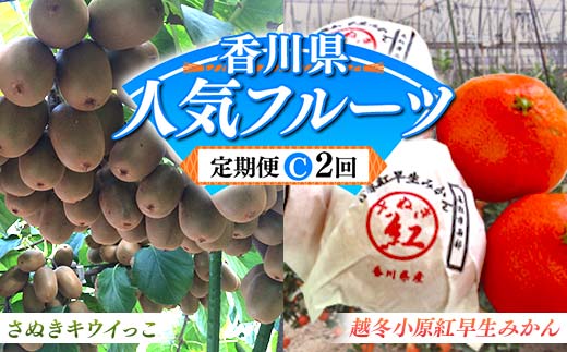 【人気フルーツ定期便C 2回】さぬきキウイっこ 約1kg 越冬小原紅早生みかん 約1.5kg キウイ みかん 旬 フルーツ 果物 国産 香川県 F5J-884