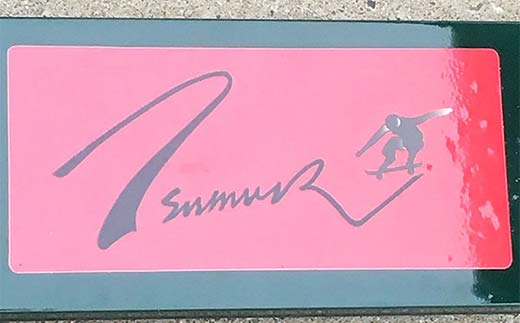 スケートボードレール ロー 丸パイプ ツムラ スケートボードセクション 初心者 子ども向け  F5J-1197