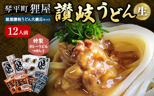 特製カレーうどんつゆ入り 狸屋讃岐うどん大満足セット12人前 4種のつゆ付き 詰合せ 生うどん カレー つゆ うどん 本場 讃岐 讃岐うどん さぬきうどん ご当地 グルメ 名産品 食品 四国  F5J-201