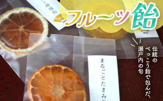 こんぴら池商店【フルーツ飴菓子】フルーツ飴 9枚（棒なし） 瀬戸内レモン さぬきゴールド たまみ みかん 伝統 あめ 飴 おやつ おみやげ ギフト フルーツ 香川県 F5J-492